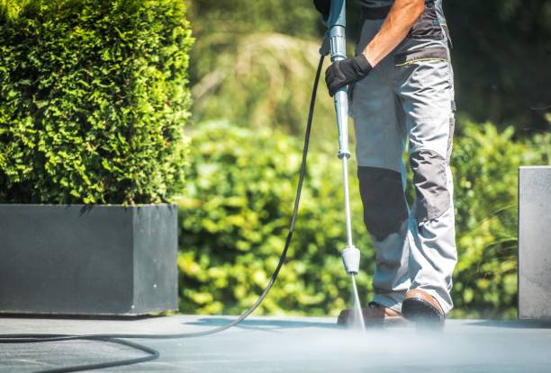 Best Roof Cleaning and Mildew Removal in Montpelier, IN